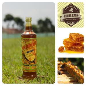 Madu Propolis Infeksi