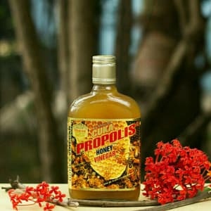 Cuka Madu Propolis